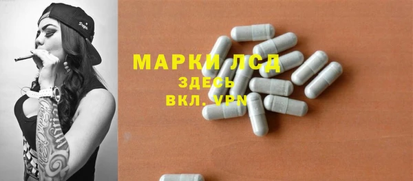 индика Санкт-Петербург