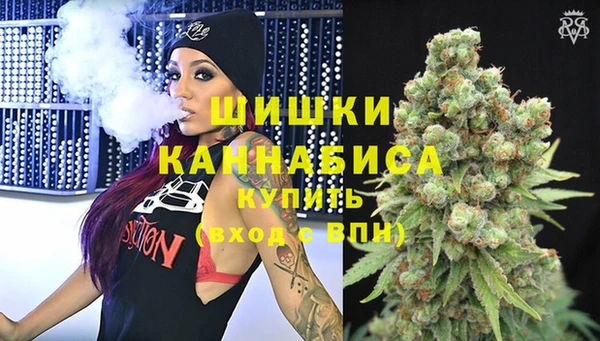 МДПВ Новосибирск