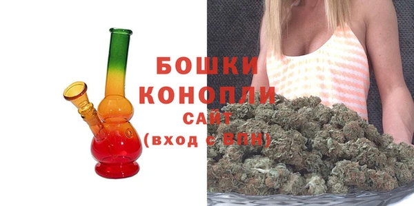 индика Санкт-Петербург