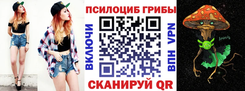 закладки  Белоусово  Псилоцибиновые грибы Psilocybe 